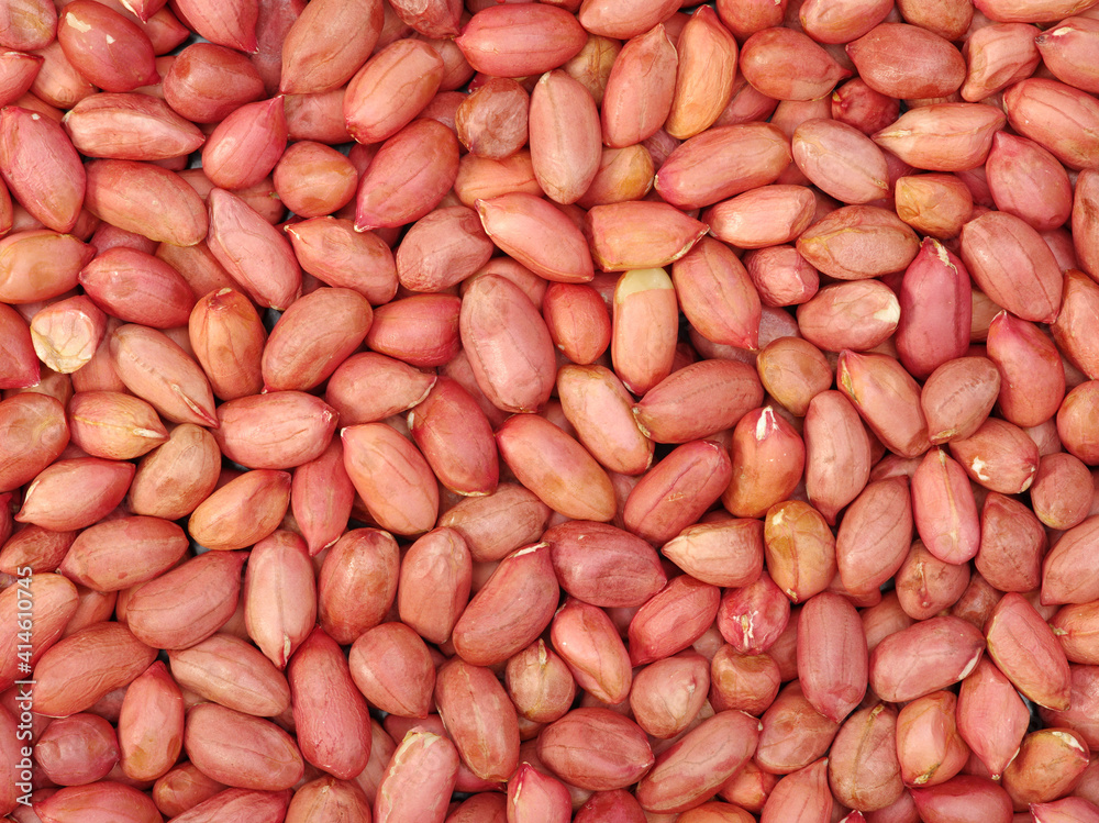 close up of peanuts close up of peanuts