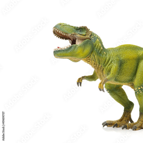 Fototapeta Naklejka Na Ścianę i Meble -  tyrannosaurus rex dinosaur