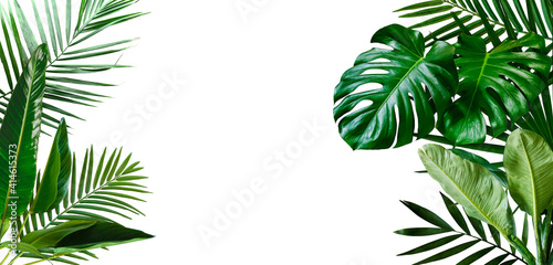 Product display with natural concept  tropical leaves on white background. Material for advertising and creativity. 