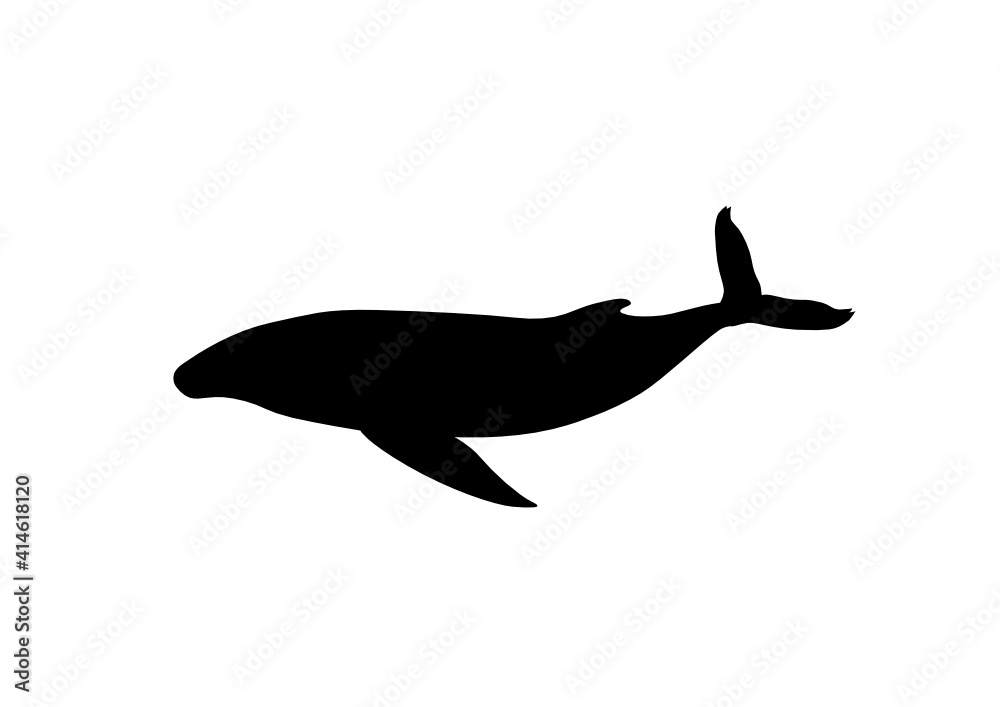 Silhouette balena