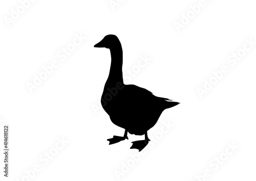 Silhouette Oca