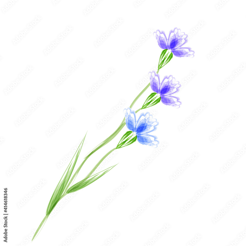Vector decorative three blue violet carnation flower isolated on a white background imitation of watercolor, for decoration of children's books, postcards Vector decorative three blue violet carnation flower isolated on a white background imitation of watercolor, for decoration of children's books, postcards