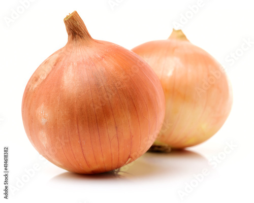 onion isolated on white background