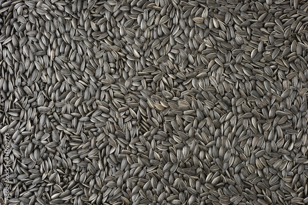 organic sunflower seed for background uses organic sunflower seed for background uses