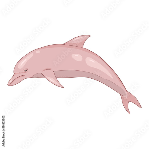 Vector Cartoon Dolphin Illustration on White Background