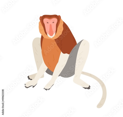 Cute proboscis or bekantan monkey with long fleshy nose, limbs and tail. Hand-drawn exotic Asian animal. Flat cartoon colorful vector illustration isolated on white background