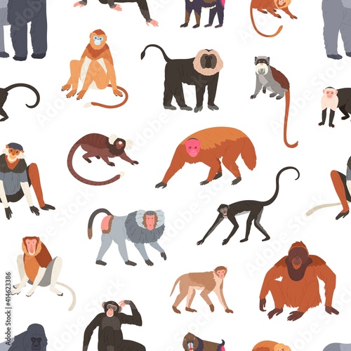 Seamless pattern with different species of monkeys apes, baboons, chimpanzees and macaques. Endless backdrop with tropical jungle animals. Colorful flat vector illustration on white background