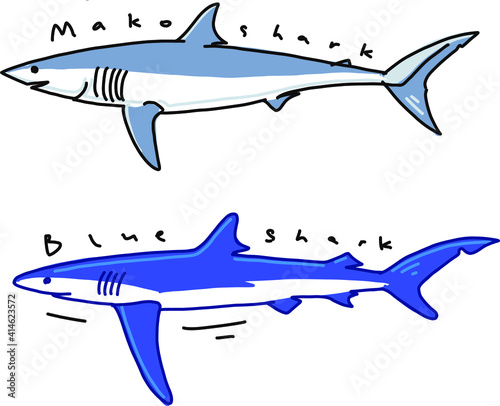 mako and blue sharks cartoon isolated on white