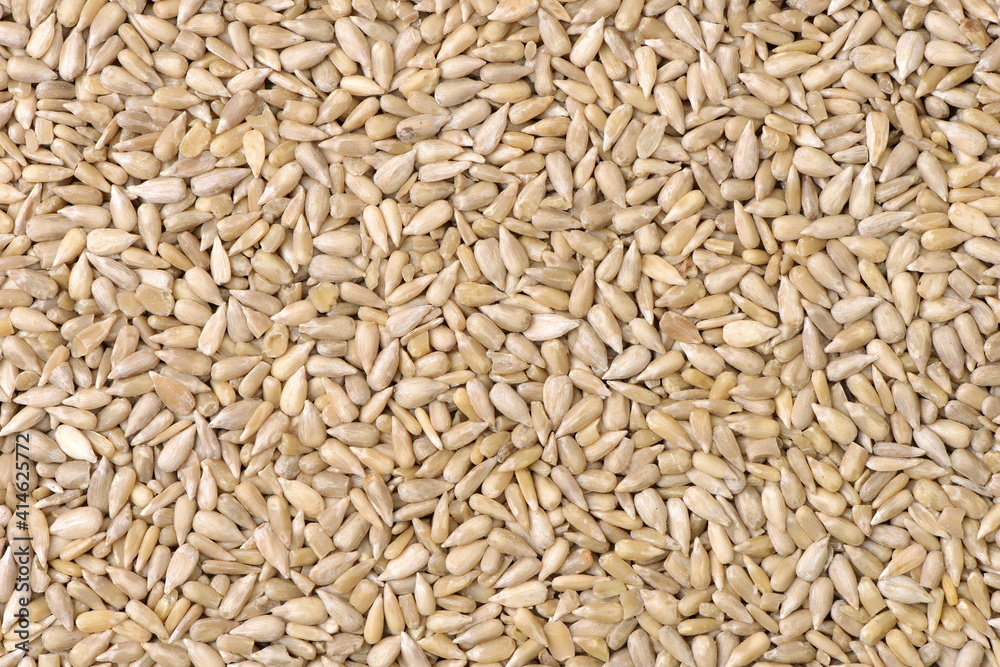 Peeled sunflower seeds pile background Peeled sunflower seeds pile background