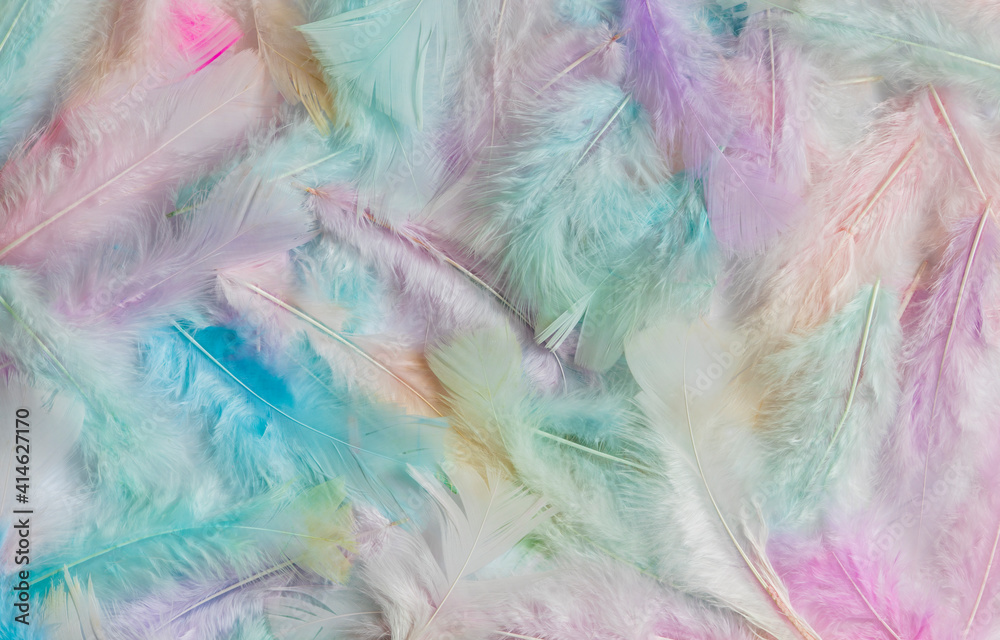 pile of different coloured feathers. background or texture