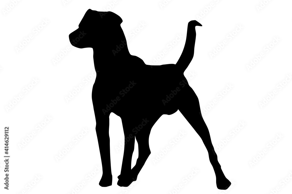 black dog silhouette on a white background