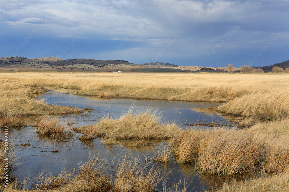 Laguna de Gallocanta