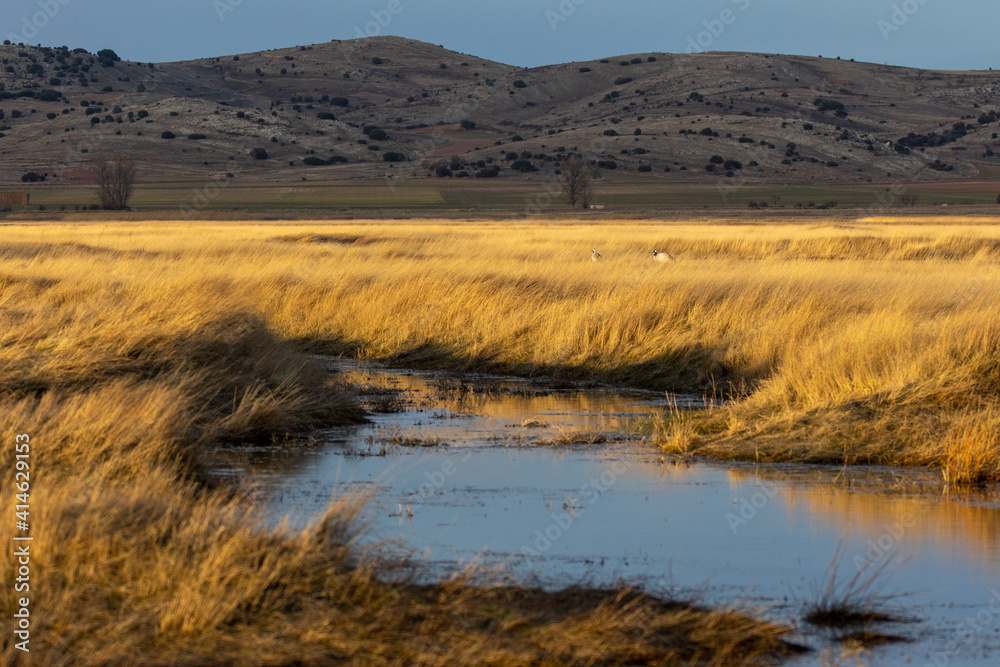Laguna de Gallocanta