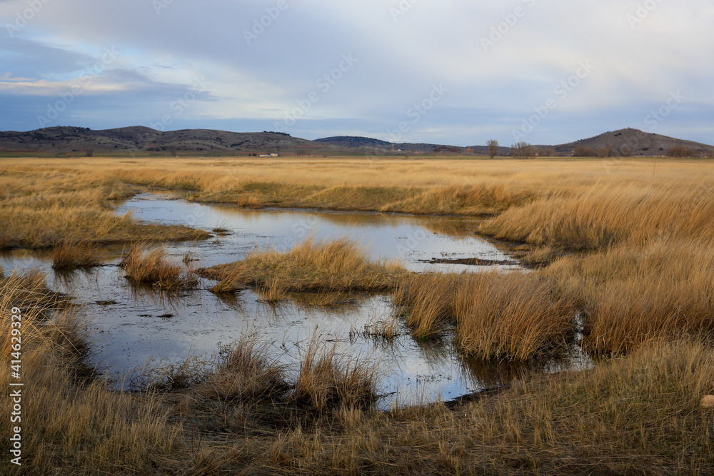 Humedal en la Laguna de Gallocanta