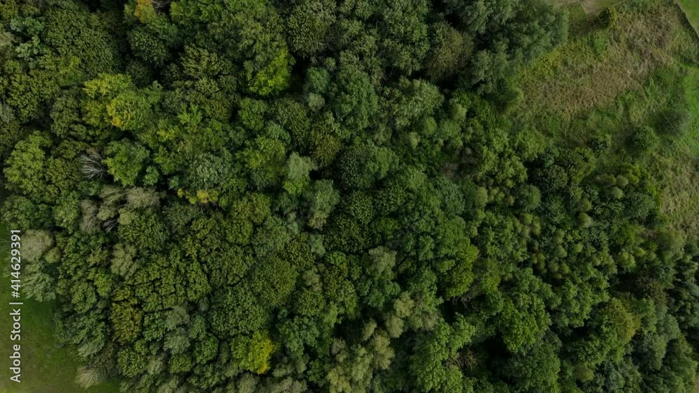 Forest top from a drone. Aerial view of a green forest. Beautiful green treetops. Dark atmospheric landscape. Dense green pine forest with canopies of spruce trees and colorful in autumn mountains. Forest top from a drone. Aerial view of a green forest. Beautiful green treetops. Dark atmospheric landscape. Dense green pine forest with canopies of spruce trees and colorful in autumn mountains.
