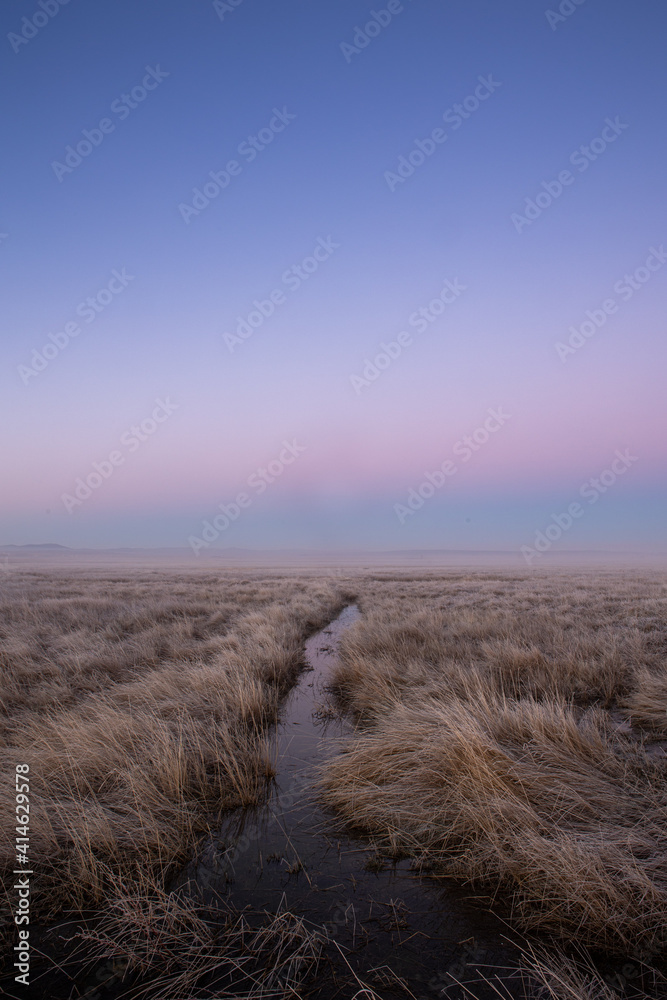 Laguna de Gallocanta entre la niebla al amanecer