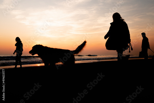 Wallpaper Mural Sunset on a beautiful beach while walking the dogs Torontodigital.ca