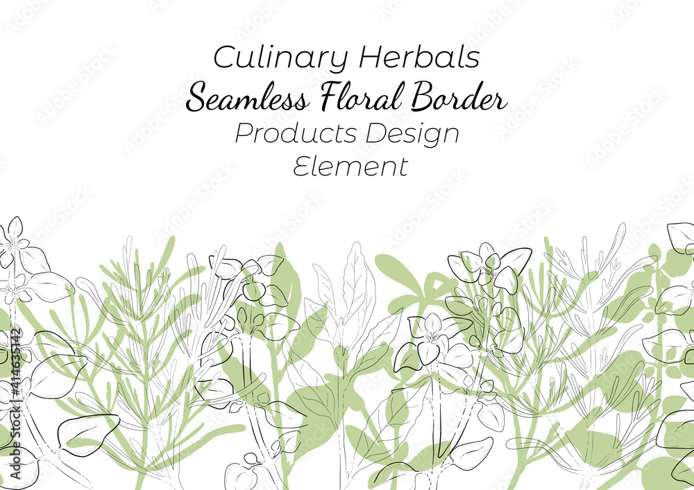 Obraz Seamless Border Made with Hand Drawn Herbals
