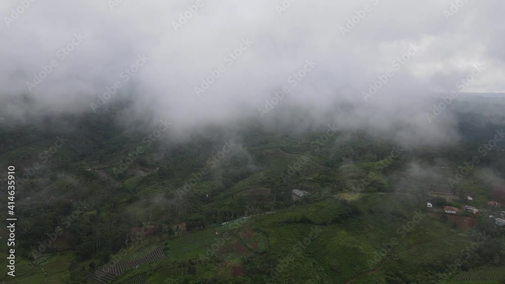A high angle, aerial view over tea plantation. It was shot with a drone tilted down which dolly out, then tilt up towards the cloud A high angle, aerial view over tea plantation. It was shot with a drone tilted down which dolly out, then tilt up towards the cloud