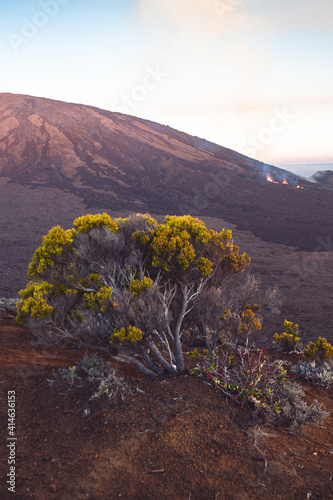 sunset on volcano eruption at Réunion island 