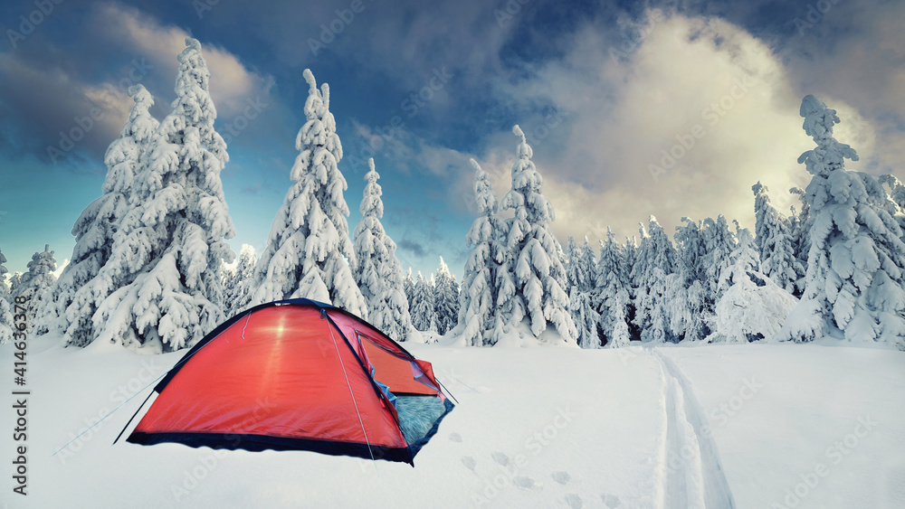 campen im Winterwald