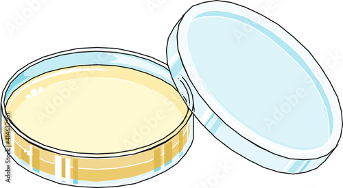Fényképezés Petri dish filled with nutrient agar medium with half-covered lid used in microb