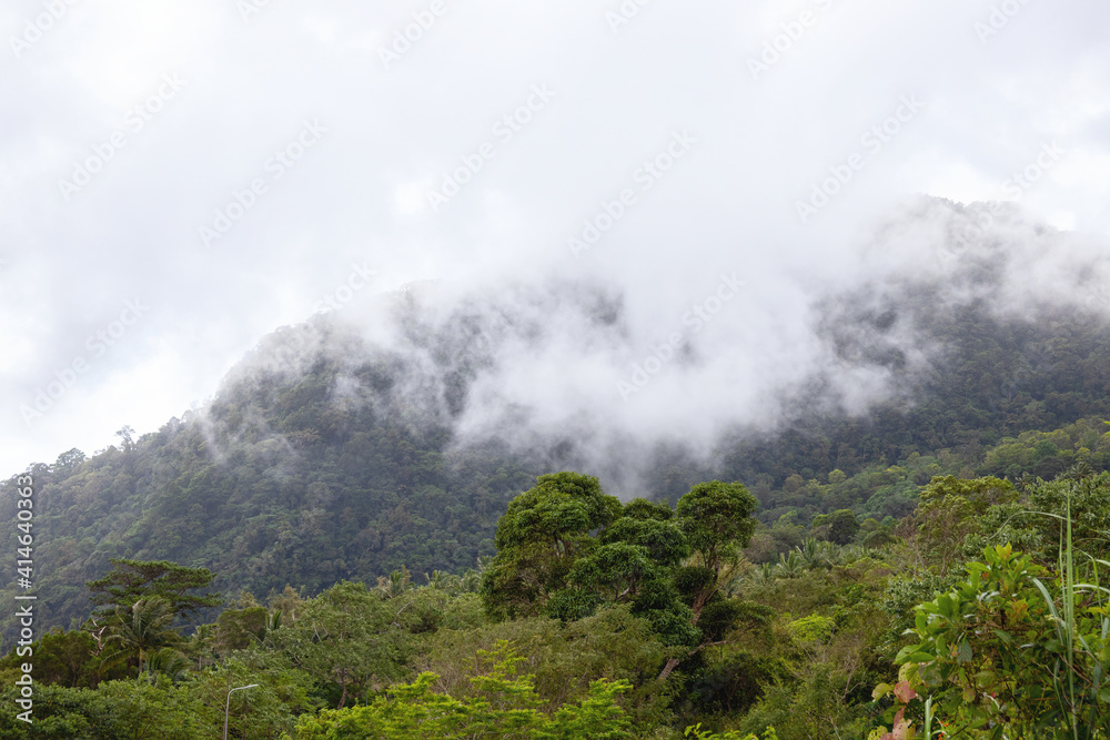 Cloudy mountain landscape with green forest. Focus on cloud. Rainy day skyscape over green forest. Top on the mountain cloud view. Chilly day of rainy season. Fresh morning dew mountains landscape