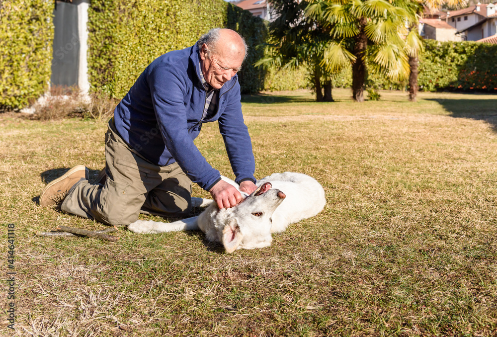 Elderly man playing with White young dog in the garden.