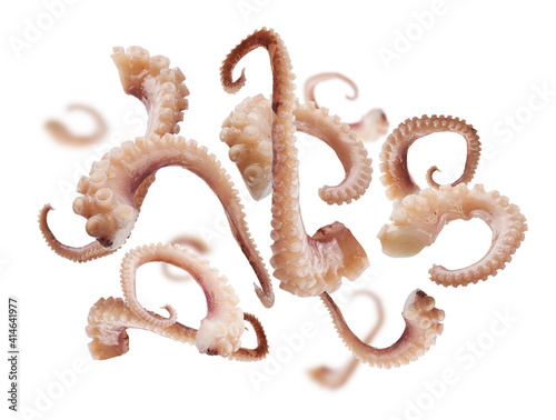 Squid tentacles levitate on a white background