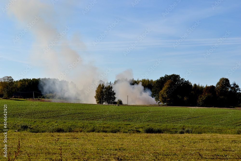 green meadow with blue sky and white campfire smoke