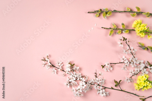 Flowering branches, yellow flowers and pussy willow catkins on pink background. Spring, easter season border background, banner. Springtime floral flat lay arrangement. 