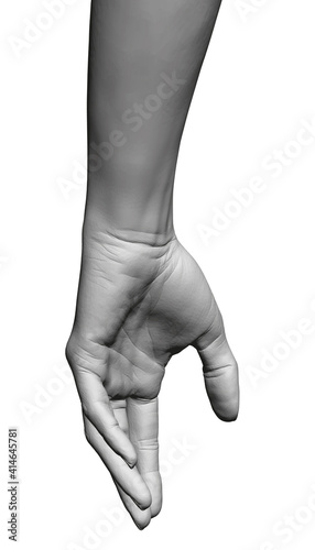 Model of a white female detailed hand. Polygonal hand of a girl. 3D. Vector illustration