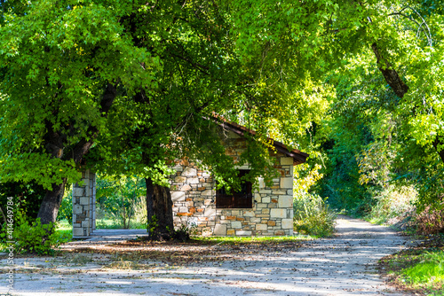 Sweetgum forest in Koycegiz Town of Turkey