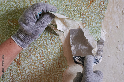 the process of removing old worn out unattractive green from the wall with the help of available tools and a spatula, hands, protective gloves photo