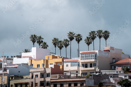 Views of the small town of Gran Canaria with its typical houses and palm trees