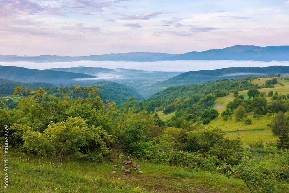 Obraz premium mountainous countryside scenery at dawn. distant valley full of fog in summer. plants and trees on the hill. beautiful landscape with clouds on the sky