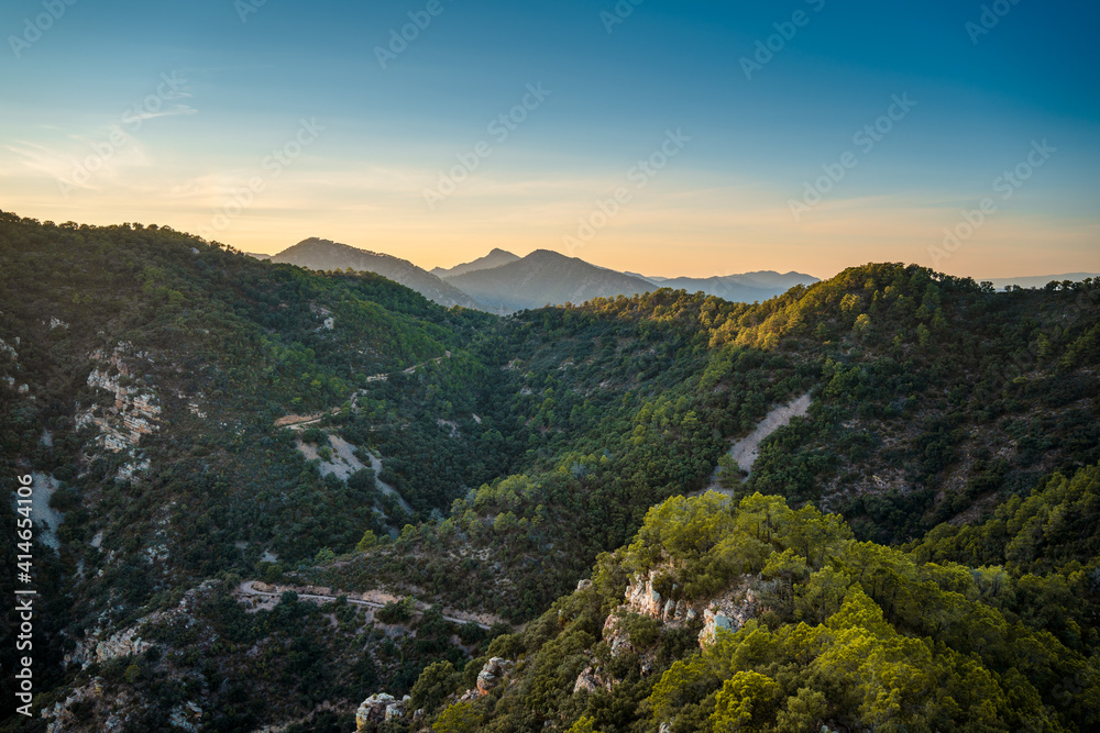 Naklejka premium Mountainous landscape with pine tree and cork oak forests in the Sierra de Espadán Natural Park, Region of Valencia, Spain.