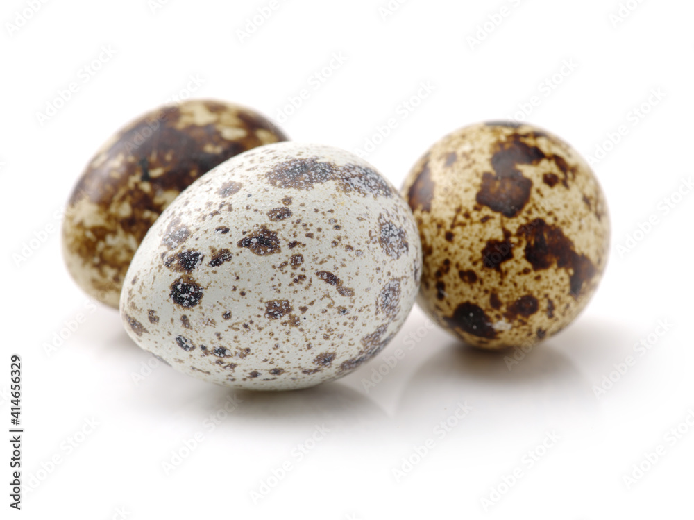 quail eggs isolated on white quail eggs isolated on white