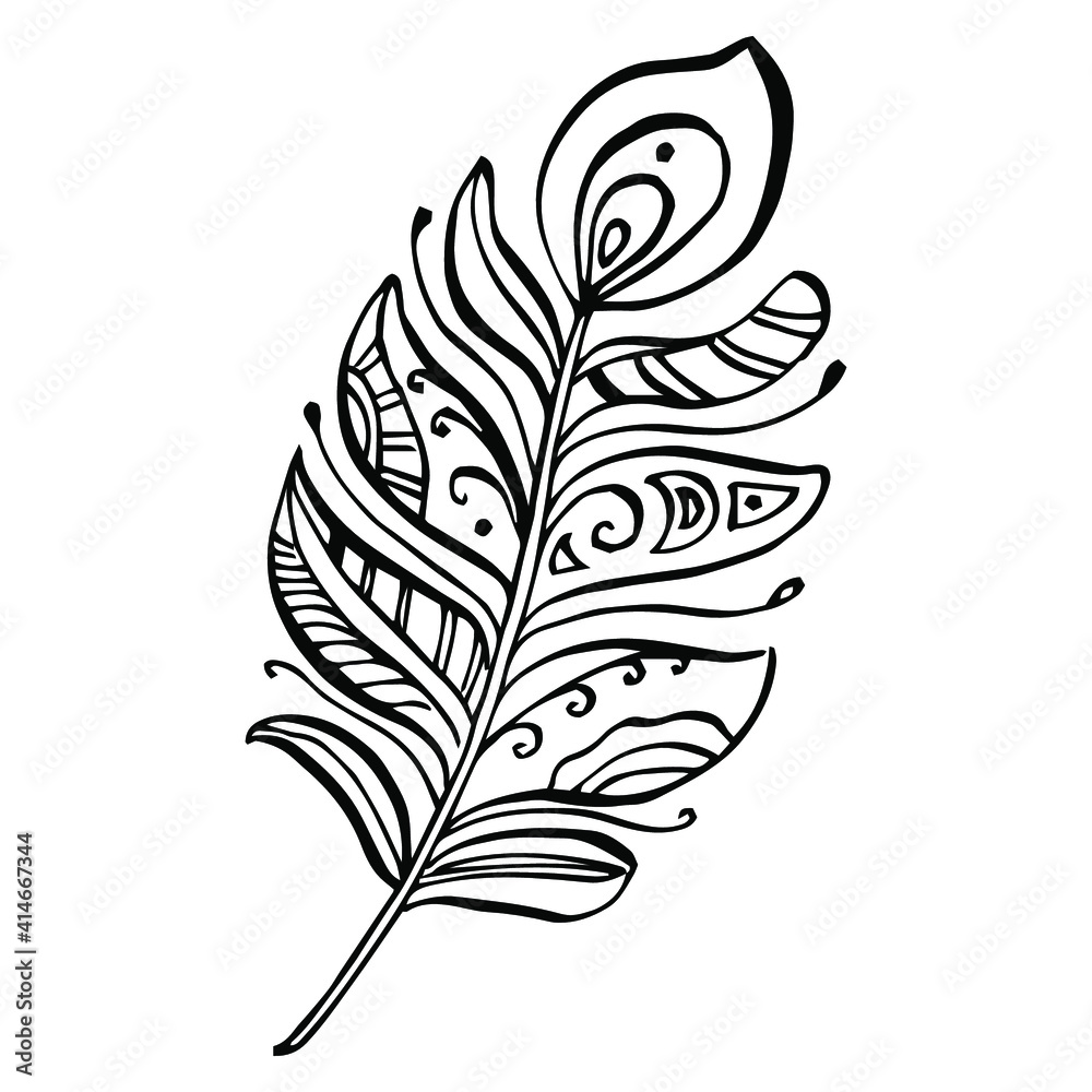 Obraz premium Bird feather from wing isolated. Isolated illustration element. Vector feather for background, texture, wrapper pattern, frame or border.