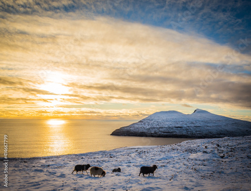 Faroe Islands - Torshavn - Vágar and Streymoy photo