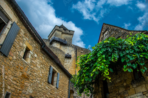 Imagen con punto de vista contrapicado de la torre, las murallas y las casas cercanas con enredaderas en un castillo medieval francés