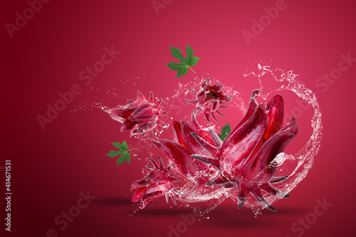 Roselle Hibiscus sabdariffa red fruit flower on red background. photo