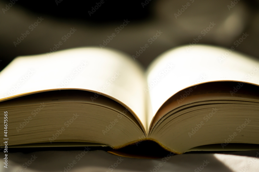 Obraz premium empty book pages