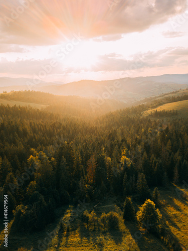 Magic sunset in landscape. Spruce trees in the forest during morning sun.