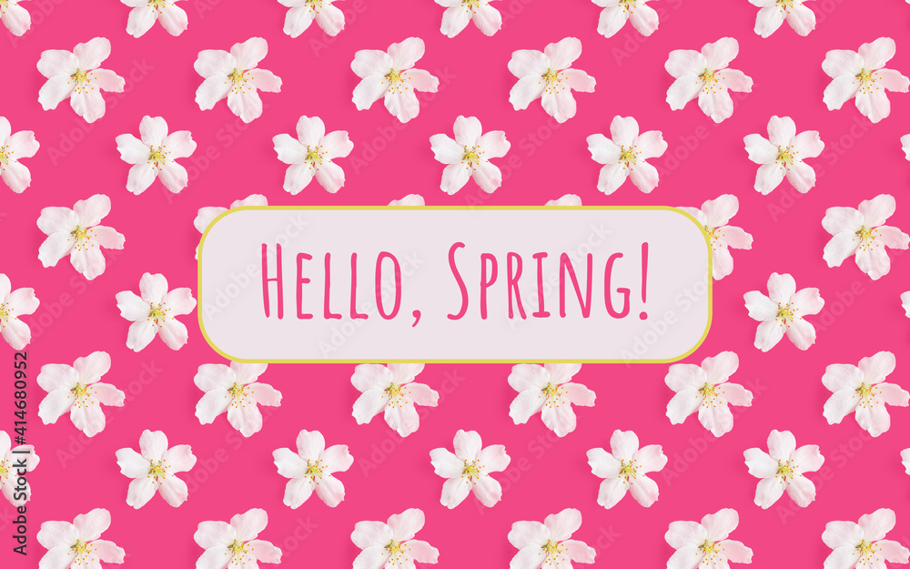 A pattern of white flowers of an apple tree on a bright pink and light background. Copspace. View from above. The concept of spring, holiday, birthday, women's day. For banner, postcard. A pattern of white flowers of an apple tree on a bright pink and light background. Copspace. View from above. The concept of spring, holiday, birthday, women's day. For banner, postcard.
