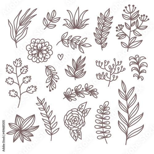 Botanical floral doodle design elements vector set