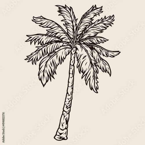 Vintage concept of palm tree