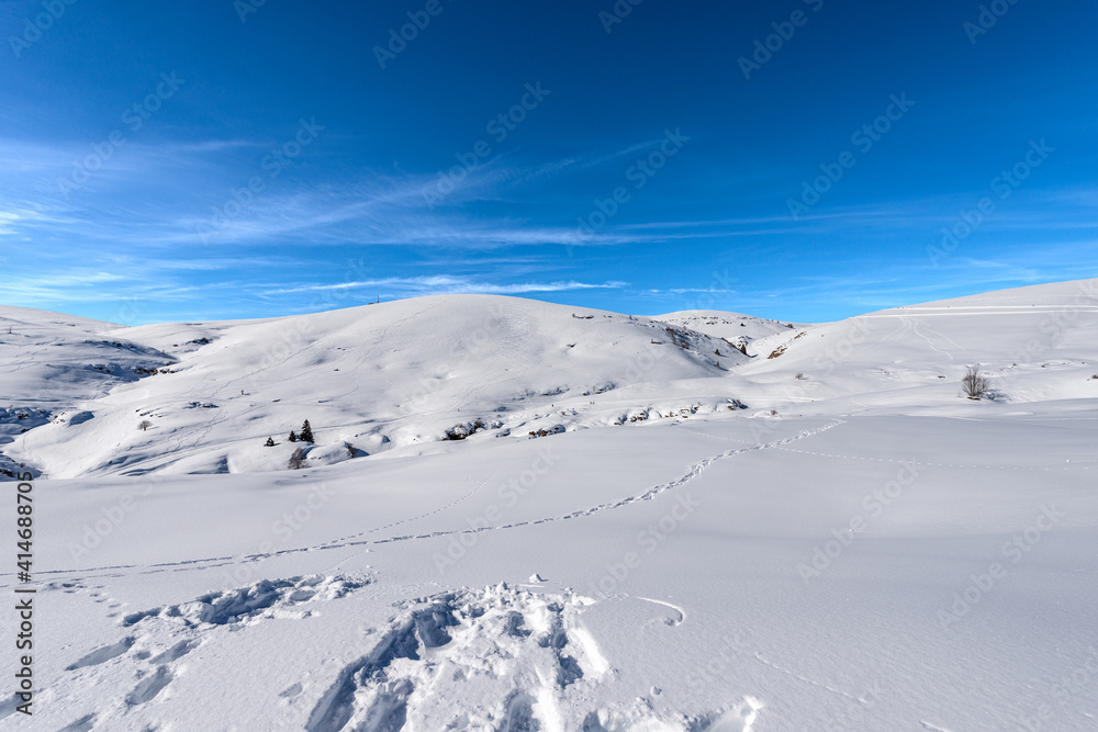 Altopiano della Lessinia (Lessinia Plateau) in winter with snow and Monte Tomba (Tomb Mountain), Regional Natural Park, near Malga San Giorgio, ski resort in Verona province, Veneto, Italy, Europe.