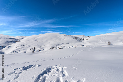 Fototapeta Naklejka Na Ścianę i Meble -  Altopiano della Lessinia (Lessinia Plateau) in winter with snow and Monte Tomba (Tomb Mountain), Regional Natural Park, near Malga San Giorgio, ski resort in Verona province, Veneto, Italy, Europe.