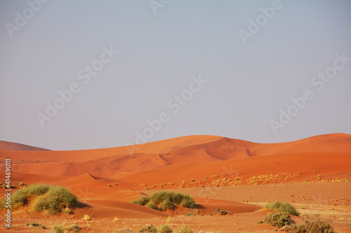 Sand desert in Namib
